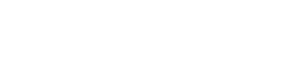 Logo-Reiterer